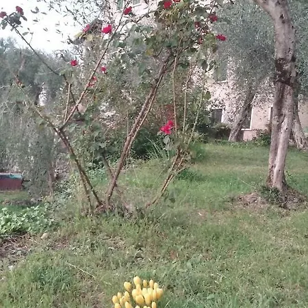 Candoras * Malcesine